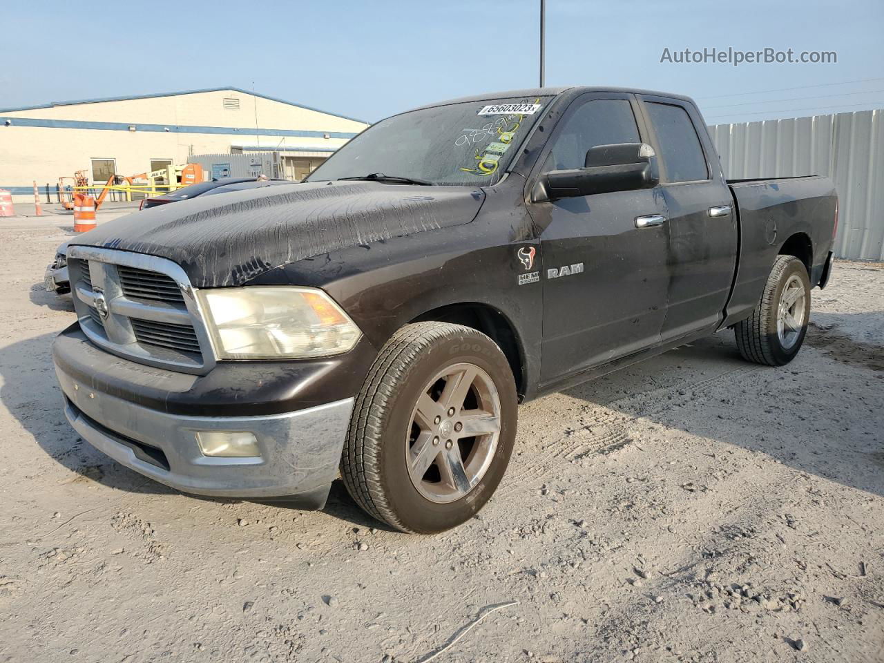 2010 Dodge Ram 1500  Коричневый vin: 1D7RB1GT8AS249889