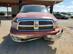 2010 Dodge Ram 1500  Красный vin: 1D7RB1GT9AS249917