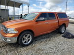 2010 Dodge Ram 1500  Orange vin: 1D7RV1CT0AS183271