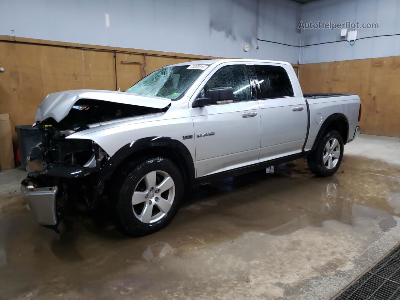 2010 Dodge Ram 1500  Silver vin: 1D7RV1CT1AS147038