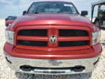 2010 Dodge Ram 1500  Red vin: 1D7RV1CT1AS180704