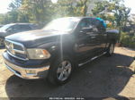 2010 Dodge Ram 1500 Slt Черный vin: 1D7RV1CT1AS183165