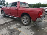 2010 Dodge Ram 1500  Темно-бордовый vin: 1D7RV1CT2AS183322