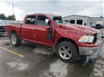 2010 Dodge Ram 1500  Темно-бордовый vin: 1D7RV1CT2AS183322