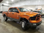 2010 Dodge Ram 1500  Orange vin: 1D7RV1CT2AS191565