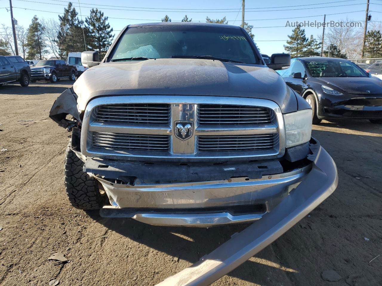 2010 Dodge Ram 1500  Золотой vin: 1D7RV1CT4AS171978