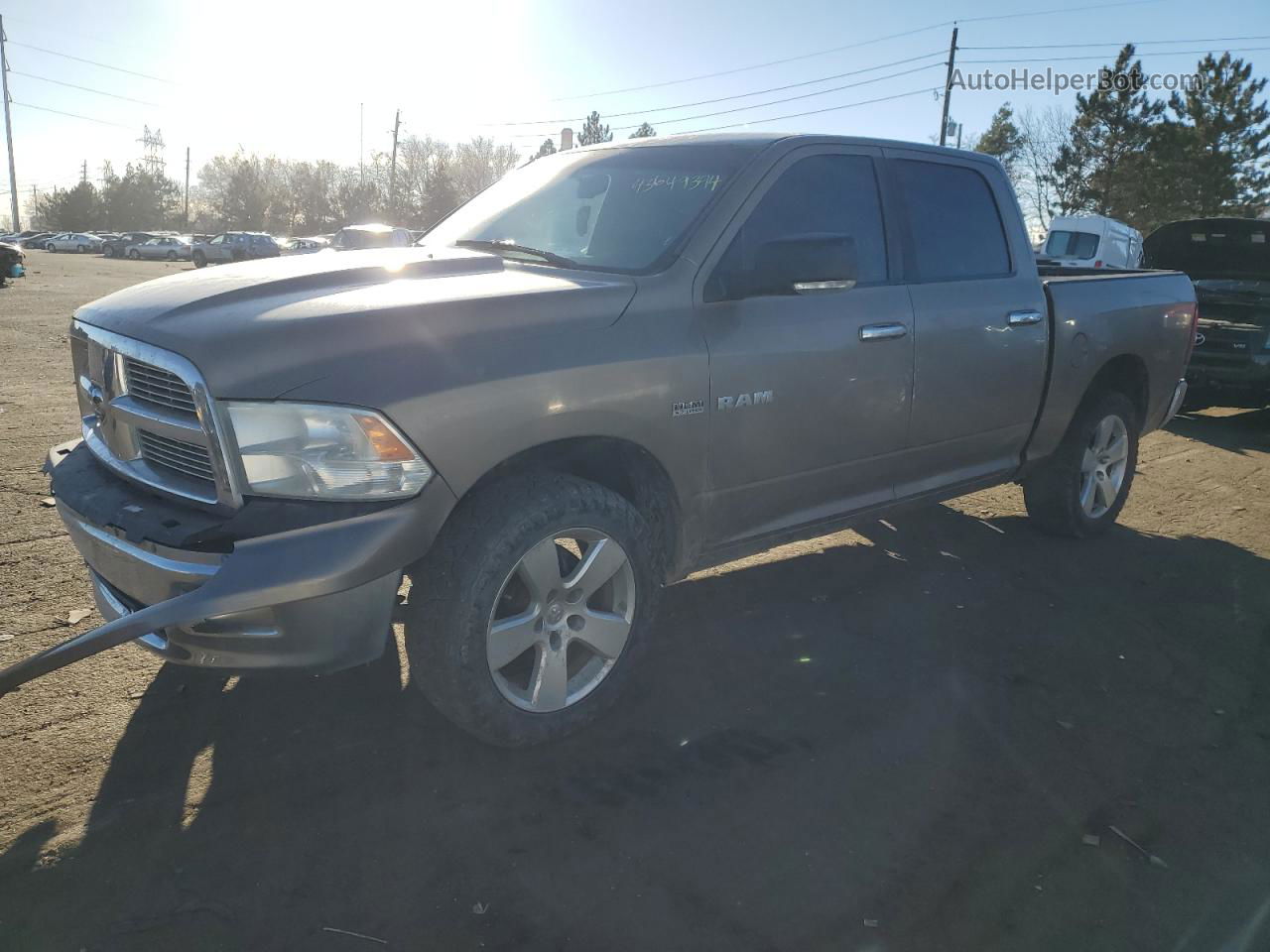 2010 Dodge Ram 1500  Gold vin: 1D7RV1CT4AS171978