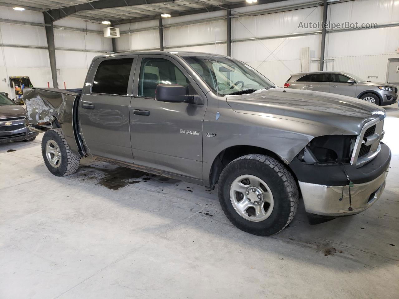 2010 Dodge Ram 1500  Gray vin: 1D7RV1CT4AS187159