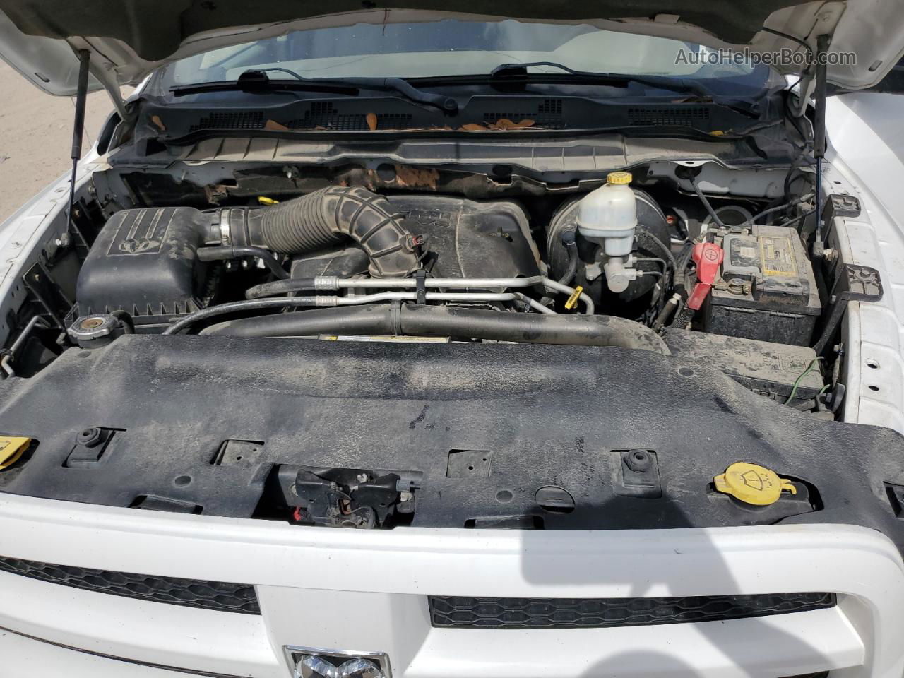 2010 Dodge Ram 1500 White vin: 1D7RV1CT4AS222749