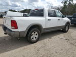 2010 Dodge Ram 1500 White vin: 1D7RV1CT4AS222749