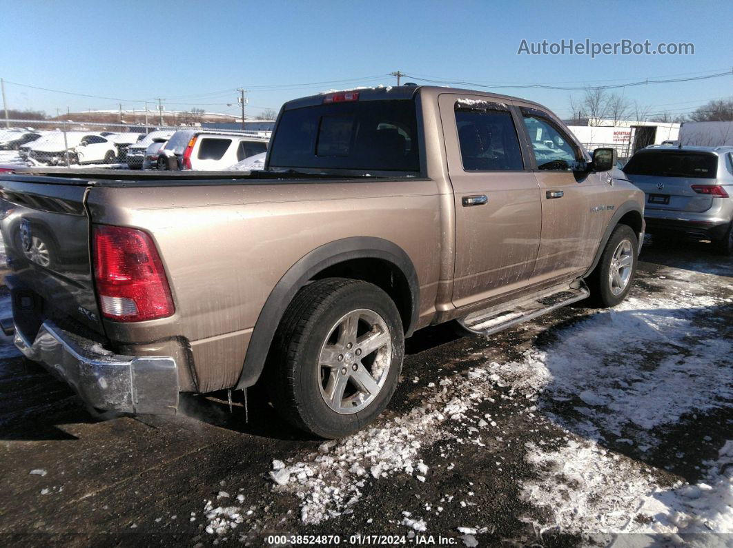 2010 Dodge Ram 1500 Slt/sport/trx Gray vin: 1D7RV1CT5AS149603