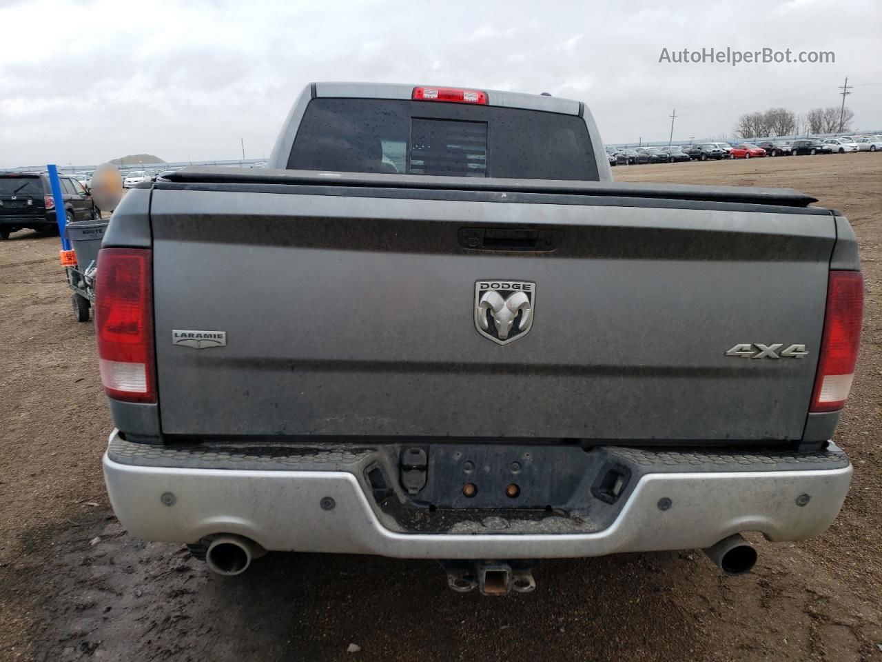 2010 Dodge Ram 1500  Gray vin: 1D7RV1CT5AS215356