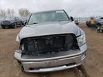 2010 Dodge Ram 1500  Gray vin: 1D7RV1CT5AS215356