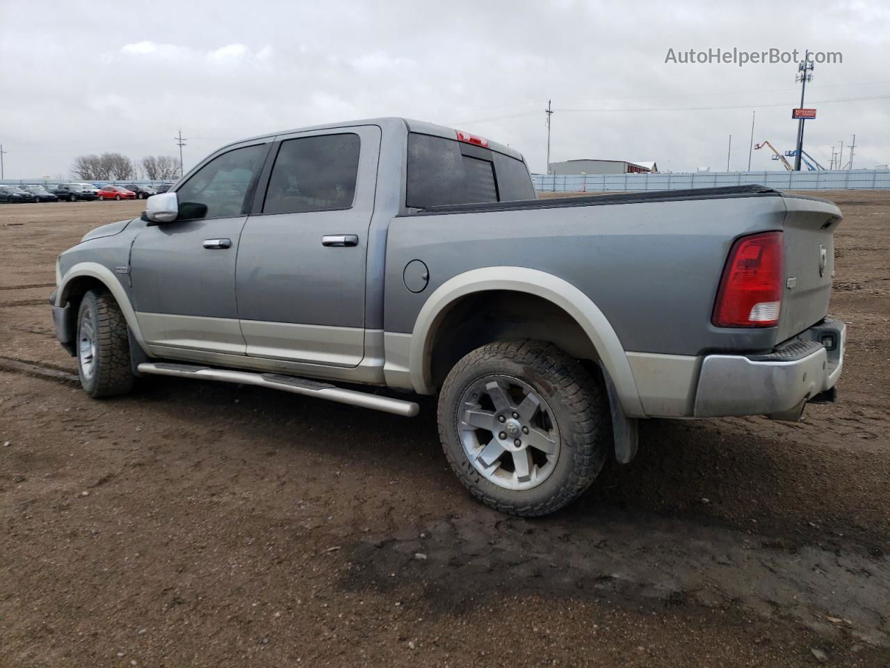 2010 Dodge Ram 1500  Gray vin: 1D7RV1CT5AS215356