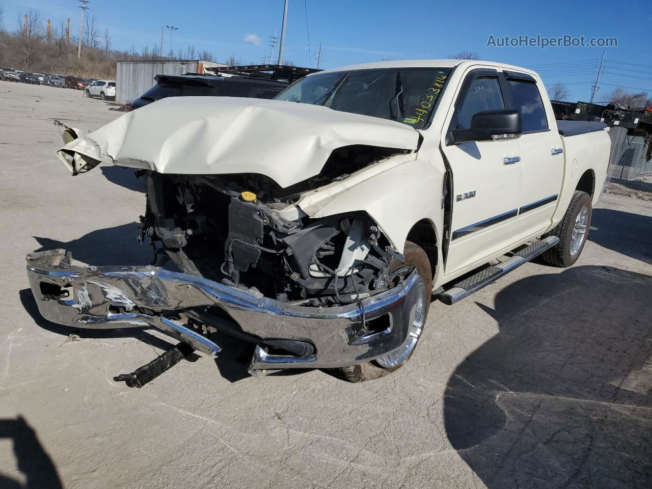 2010 Dodge Ram 1500  Beige vin: 1D7RV1CT5AS227622