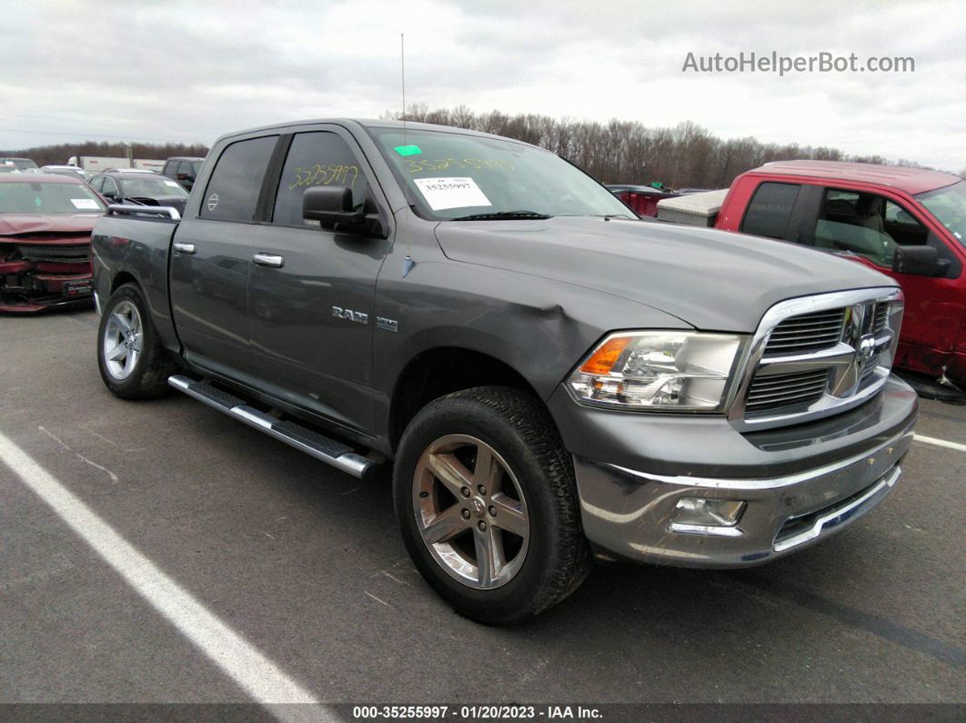 2010 Dodge Ram 1500 Slt Gray vin: 1D7RV1CT6AS128548