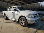 2010 Dodge Ram 1500  White vin: 1D7RV1CT6AS130428