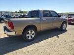 2010 Dodge Ram 1500  Коричневый vin: 1D7RV1CT6AS152199