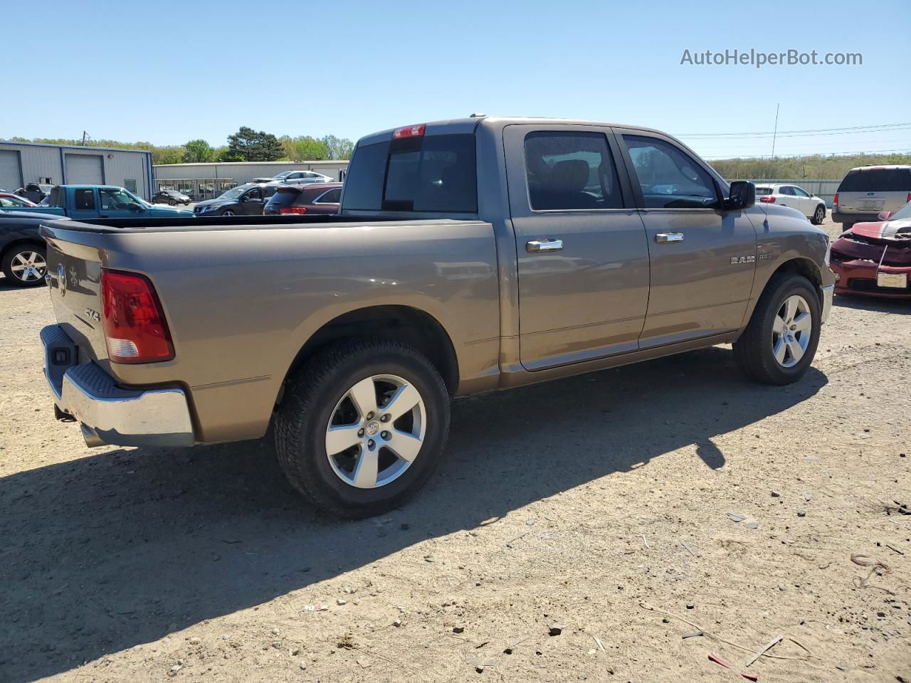 2010 Dodge Ram 1500  Коричневый vin: 1D7RV1CT6AS152199