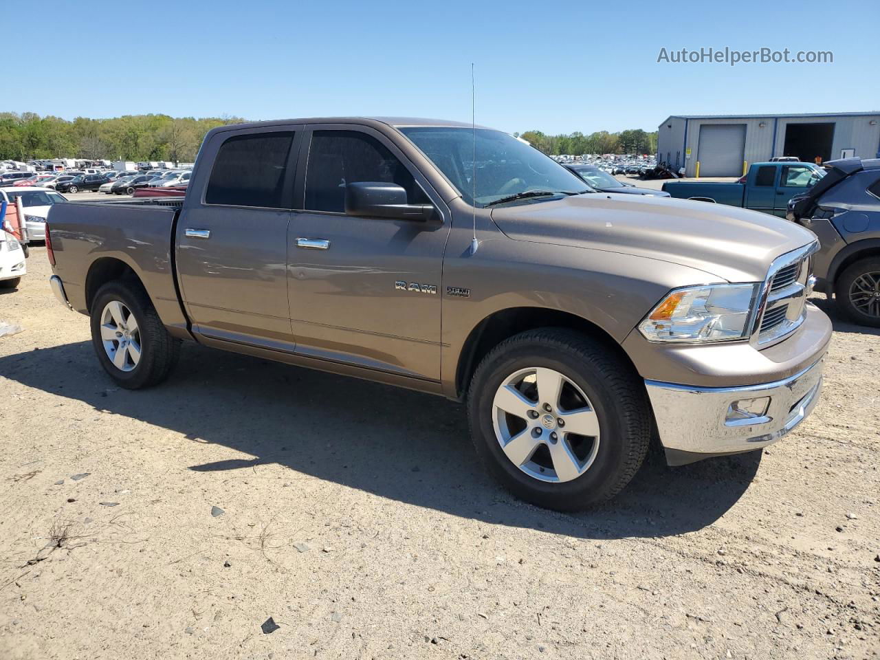 2010 Dodge Ram 1500  Коричневый vin: 1D7RV1CT6AS152199