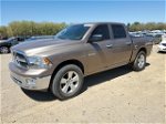 2010 Dodge Ram 1500  Коричневый vin: 1D7RV1CT6AS152199