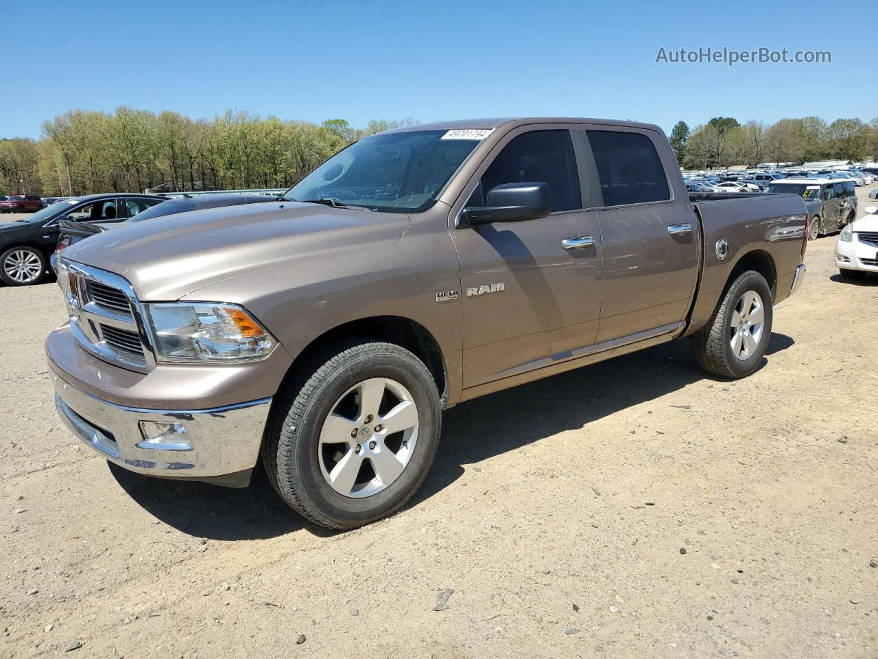 2010 Dodge Ram 1500  Brown vin: 1D7RV1CT6AS152199