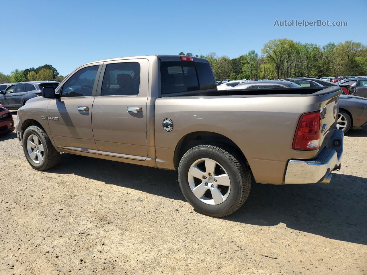 2010 Dodge Ram 1500  Коричневый vin: 1D7RV1CT6AS152199