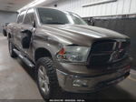 2010 Dodge Ram 1500 Slt/sport/trx Желто-коричневый vin: 1D7RV1CT6AS178253