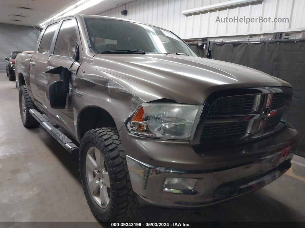 2010 Dodge Ram 1500 Slt/sport/trx Желто-коричневый vin: 1D7RV1CT6AS178253