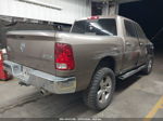 2010 Dodge Ram 1500 Slt/sport/trx Желто-коричневый vin: 1D7RV1CT6AS178253