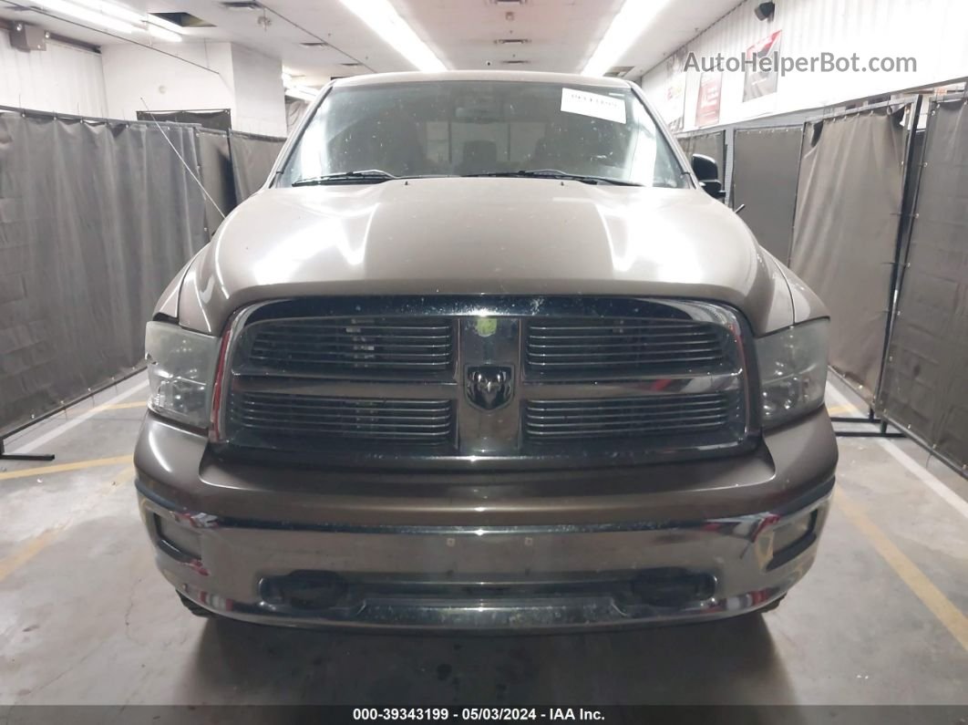 2010 Dodge Ram 1500 Slt/sport/trx Желто-коричневый vin: 1D7RV1CT6AS178253