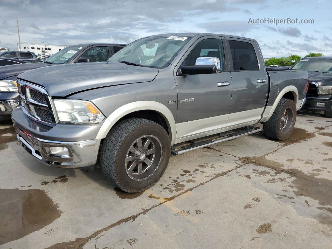 2010 Dodge Ram 1500  Gray vin: 1D7RV1CT6AS215219