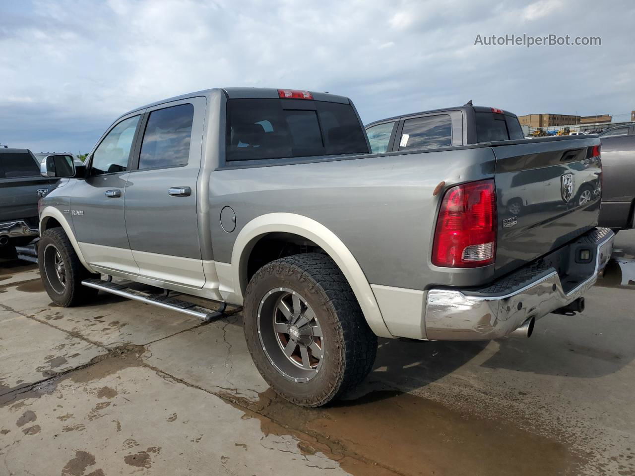 2010 Dodge Ram 1500  Серый vin: 1D7RV1CT6AS215219