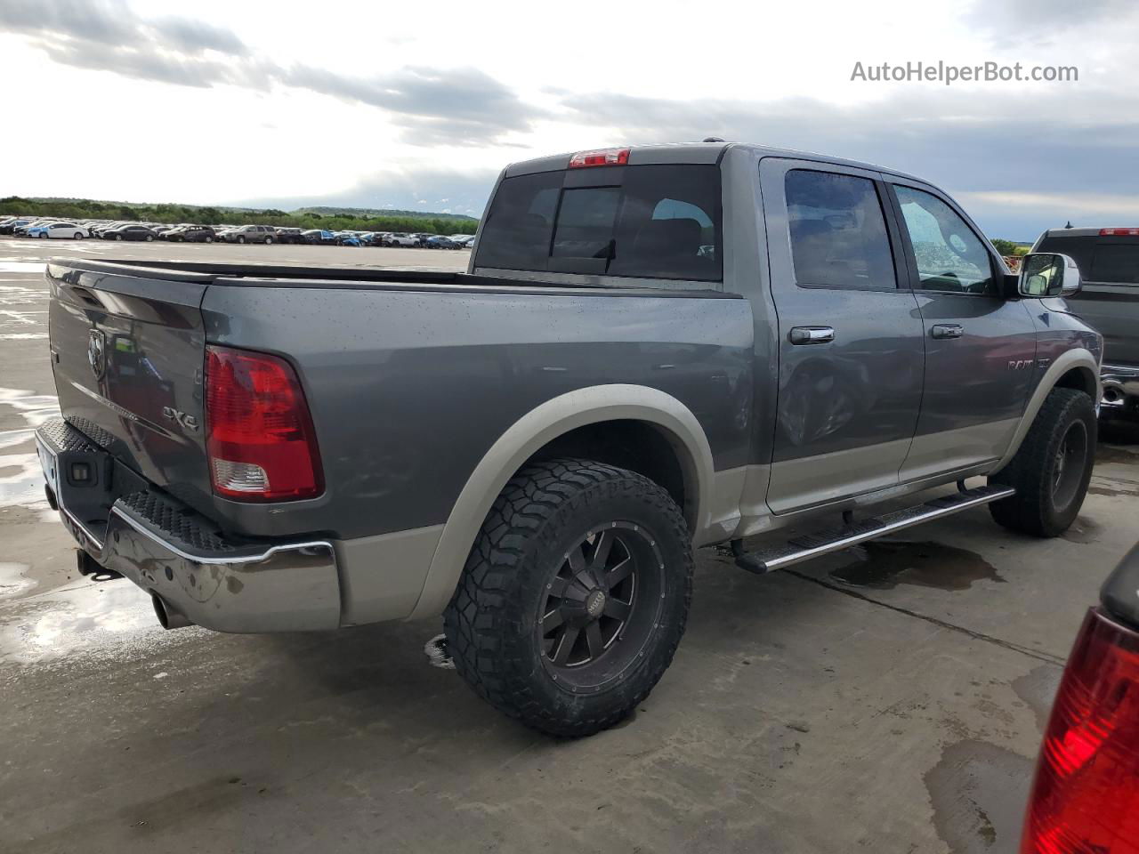 2010 Dodge Ram 1500  Gray vin: 1D7RV1CT6AS215219