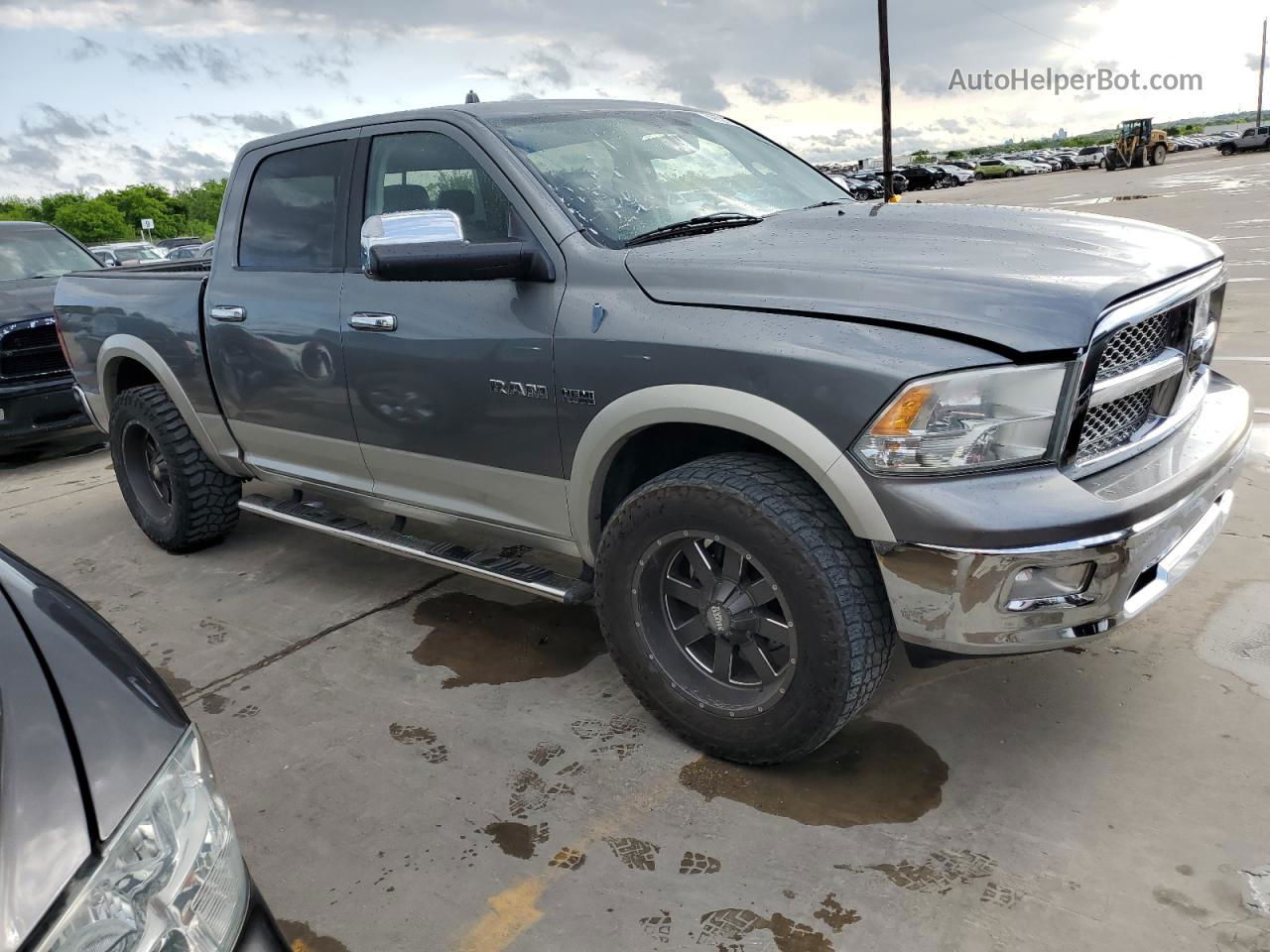 2010 Dodge Ram 1500  Gray vin: 1D7RV1CT6AS215219