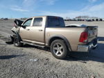 2010 Dodge Ram 1500  Бежевый vin: 1D7RV1CT8AS198262