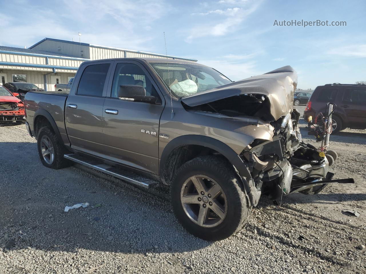 2010 Dodge Ram 1500  Beige vin: 1D7RV1CT8AS198262