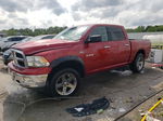 2010 Dodge Ram 1500  Red vin: 1D7RV1CT8AS261442