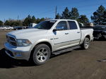 2010 Dodge Ram 1500  White vin: 1D7RV1CT9AS158482