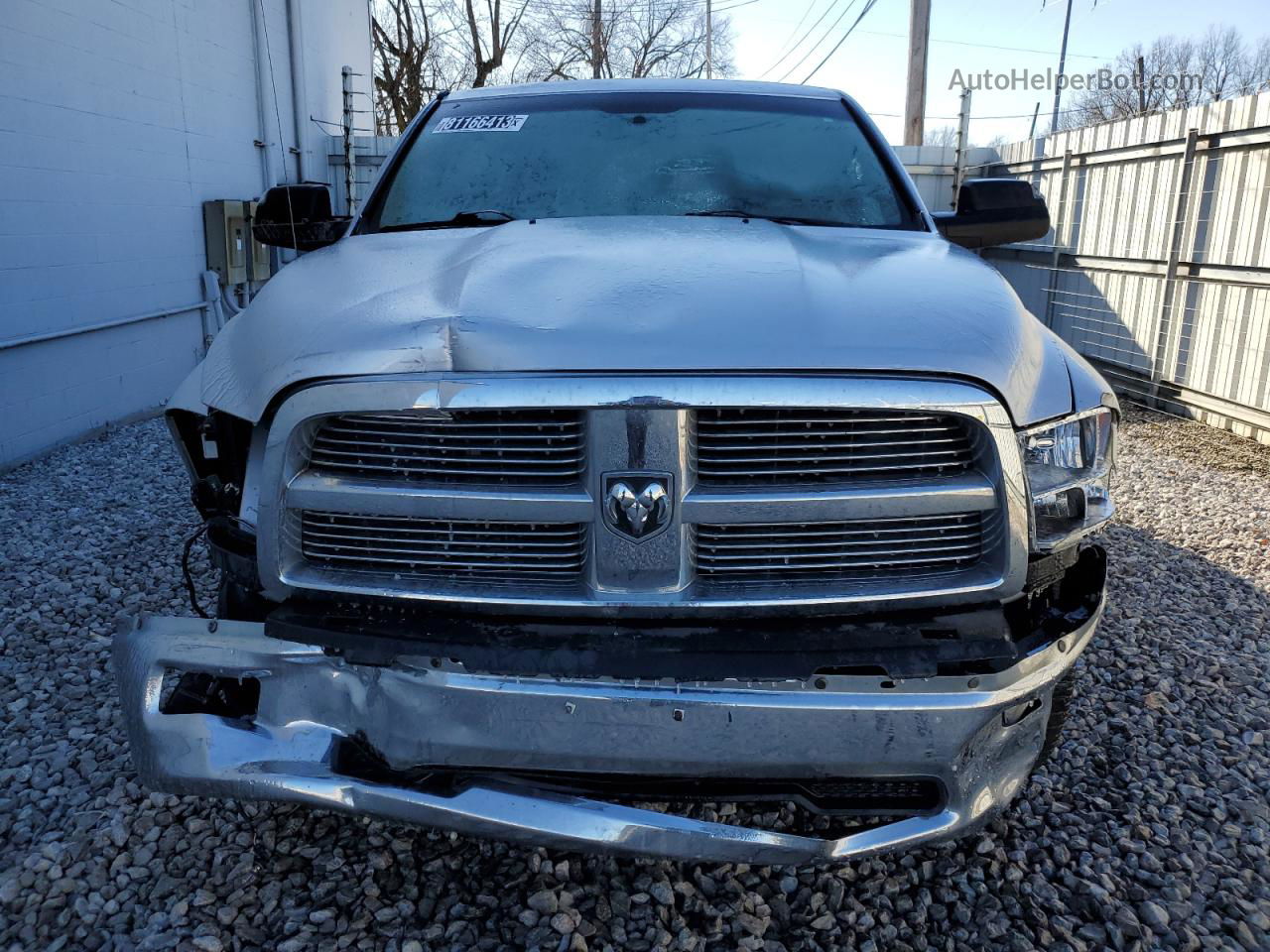 2010 Dodge Ram 1500  Серебряный vin: 1D7RV1CT9AS217174