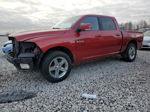 2010 Dodge Ram 1500  Темно-бордовый vin: 1D7RV1CTXAS136250