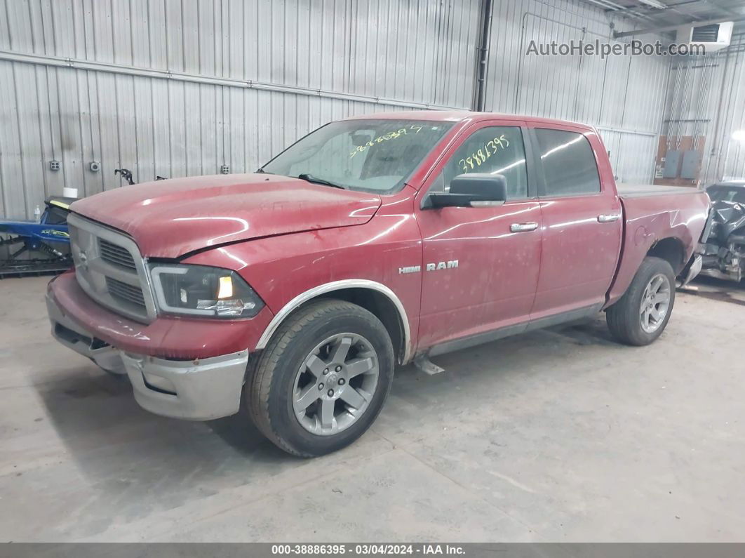 2010 Dodge Ram 1500 Slt/sport/trx Red vin: 1D7RV1CTXAS141139