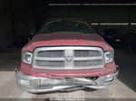 2010 Dodge Ram 1500 Slt/sport/trx Красный vin: 1D7RV1CTXAS141139