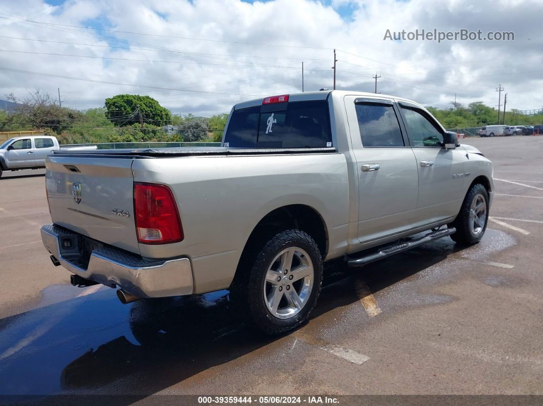 2010 Dodge Ram 1500 Slt/sport/trx Silver vin: 1D7RV1CTXAS199185