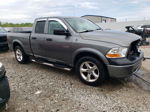 2010 Dodge Ram 1500  Серый vin: 1D7RV1GP0AS262582