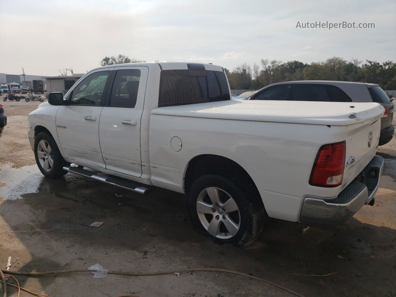 2010 Dodge Ram 1500  White vin: 1D7RV1GP1AS129183