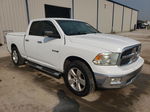 2010 Dodge Ram 1500  White vin: 1D7RV1GP1AS129183