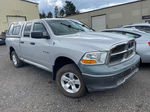 2010 Dodge Ram 1500  Silver vin: 1D7RV1GP2AS142489