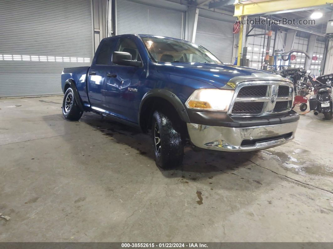 2010 Dodge Ram 1500 St Blue vin: 1D7RV1GP2AS193717