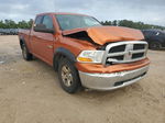 2010 Dodge Ram 1500  Orange vin: 1D7RV1GP3AS204577